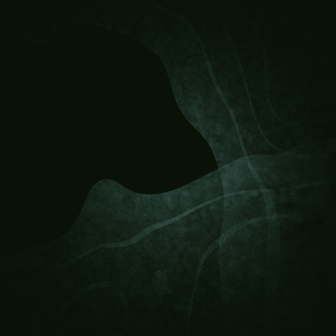 Beyond Dichotomy  #56