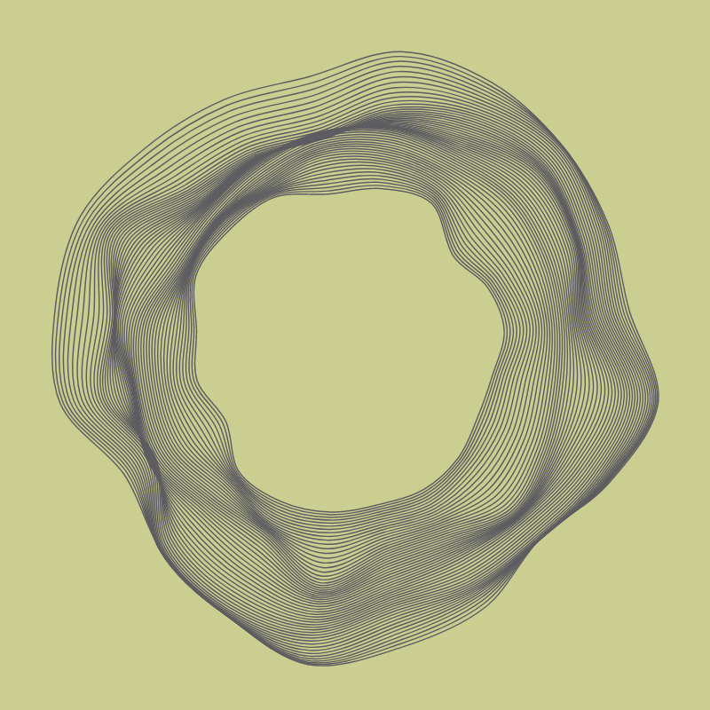 polygonisms #18