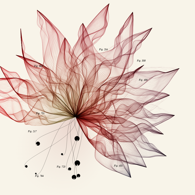Herbarium #732