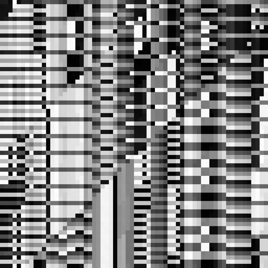 Bit Operations #324