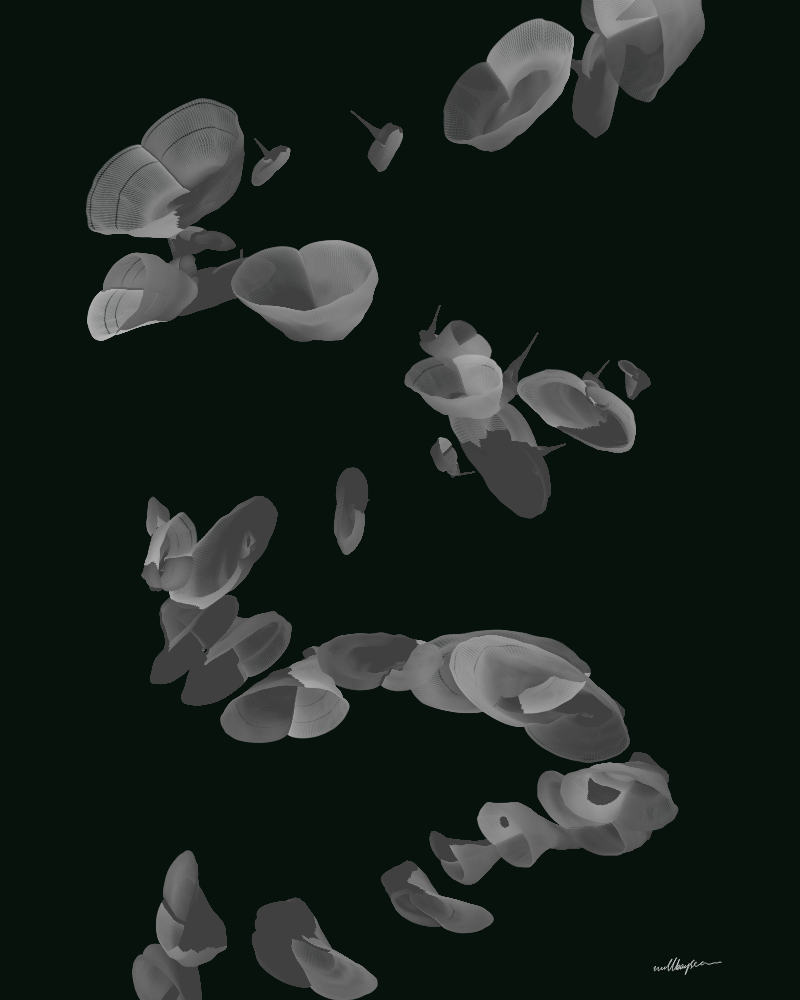 InBloom #166